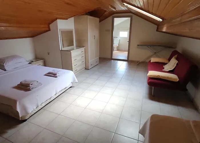 روبي فيلة فتحية