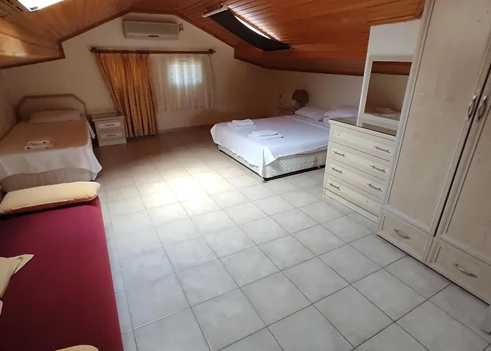 فيلة روبي فتحية