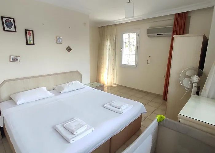 فيلة روبي فتحية